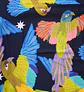 Pañuelo Loro 70 x 70 cm. - Miniatura 1