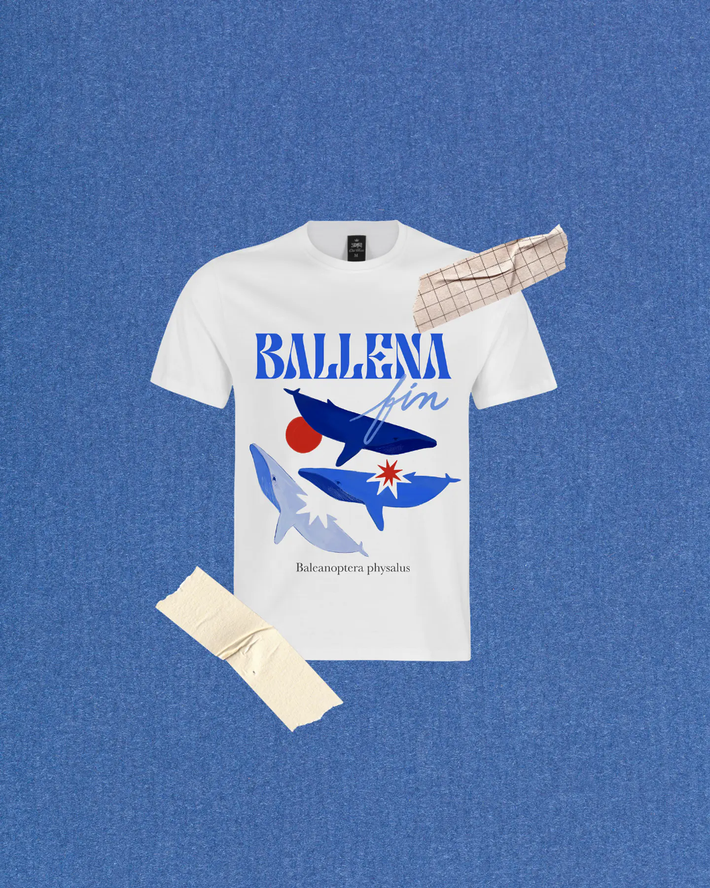 Polera Ballena 4