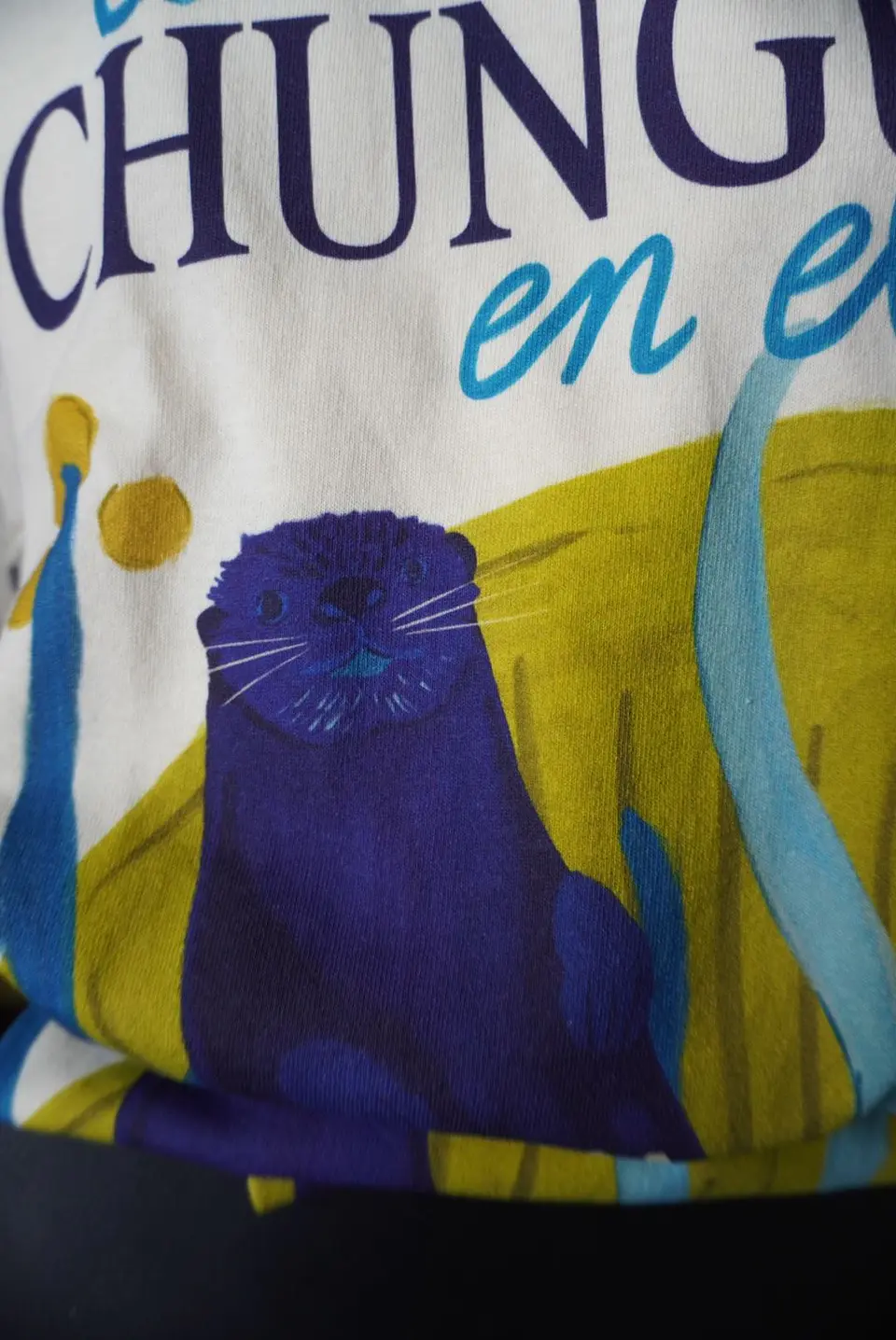 Polera Chungunga 2