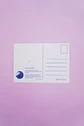 Postal Huemul - Miniatura 2