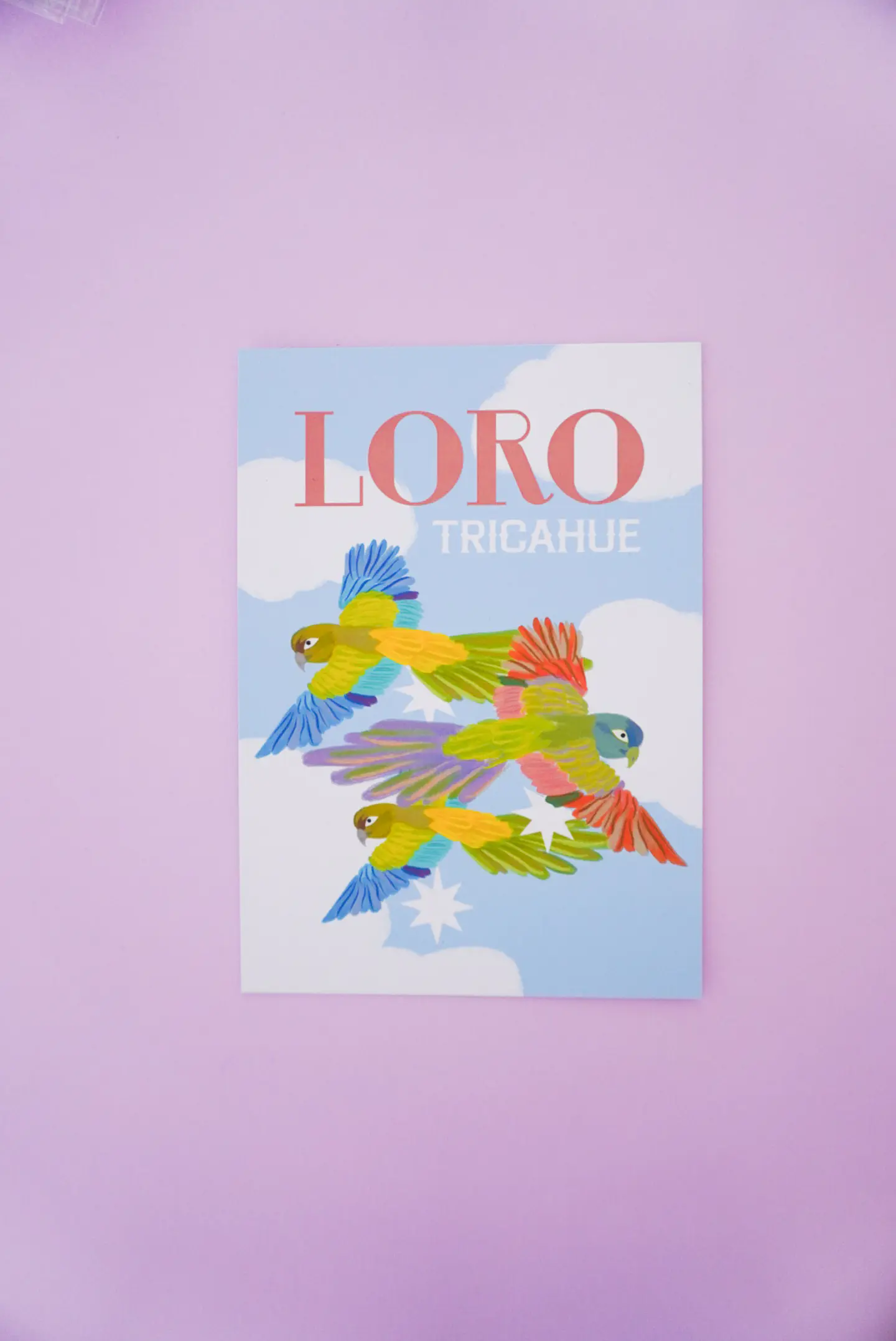 Postal Loro Tricahue 1