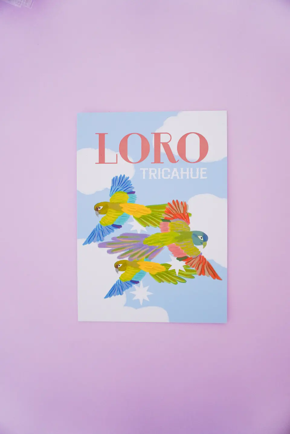 Postal Loro Tricahue 1