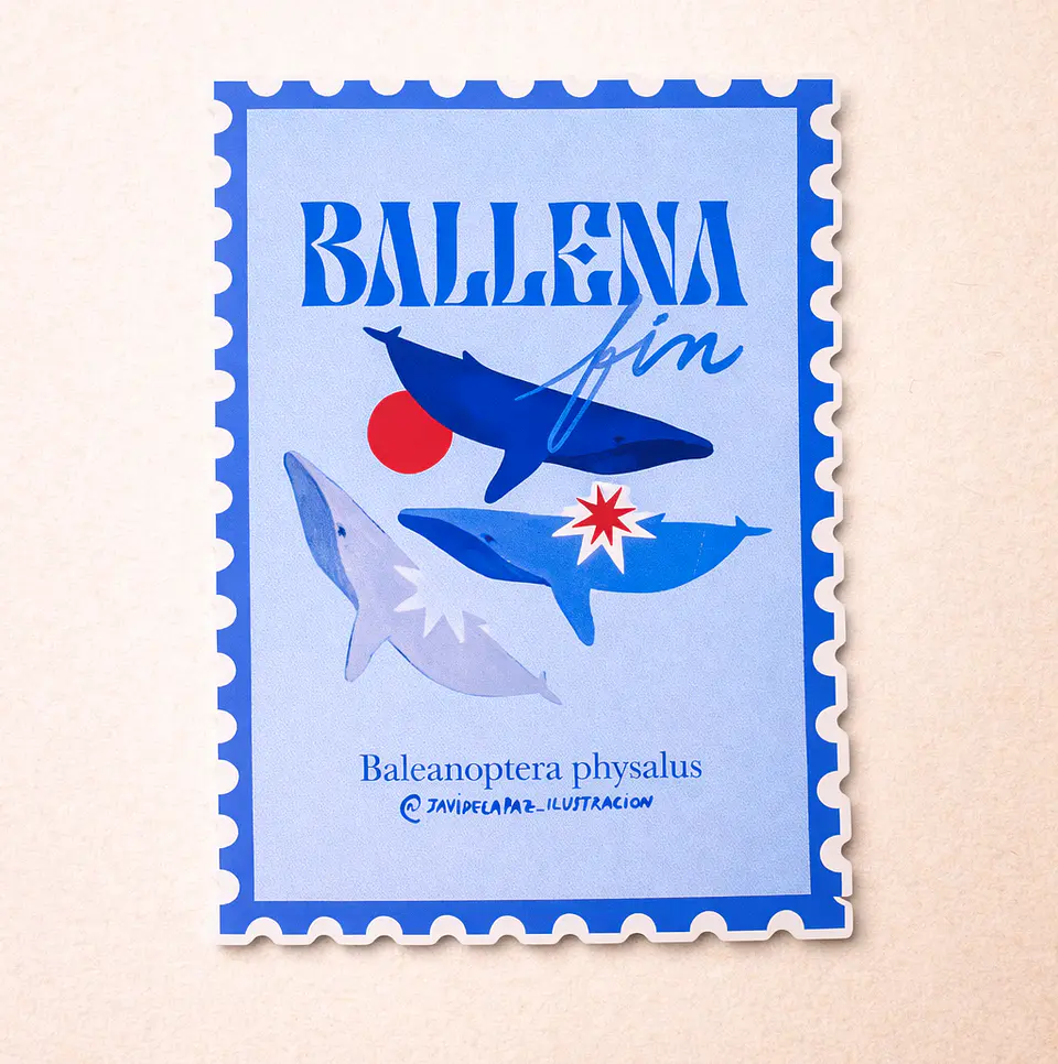 Sticker Ballena 1