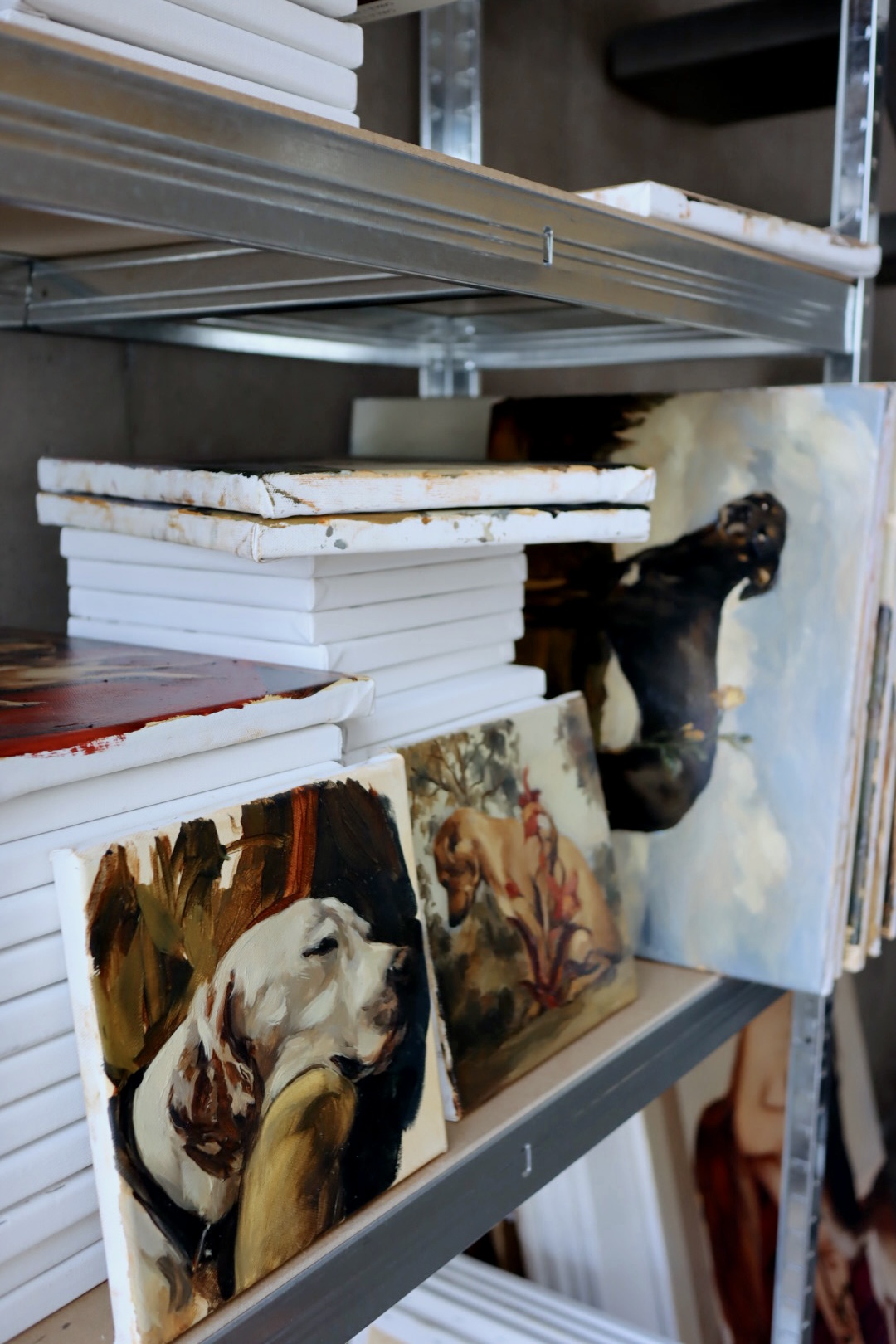 Estudio de perro dormido 4