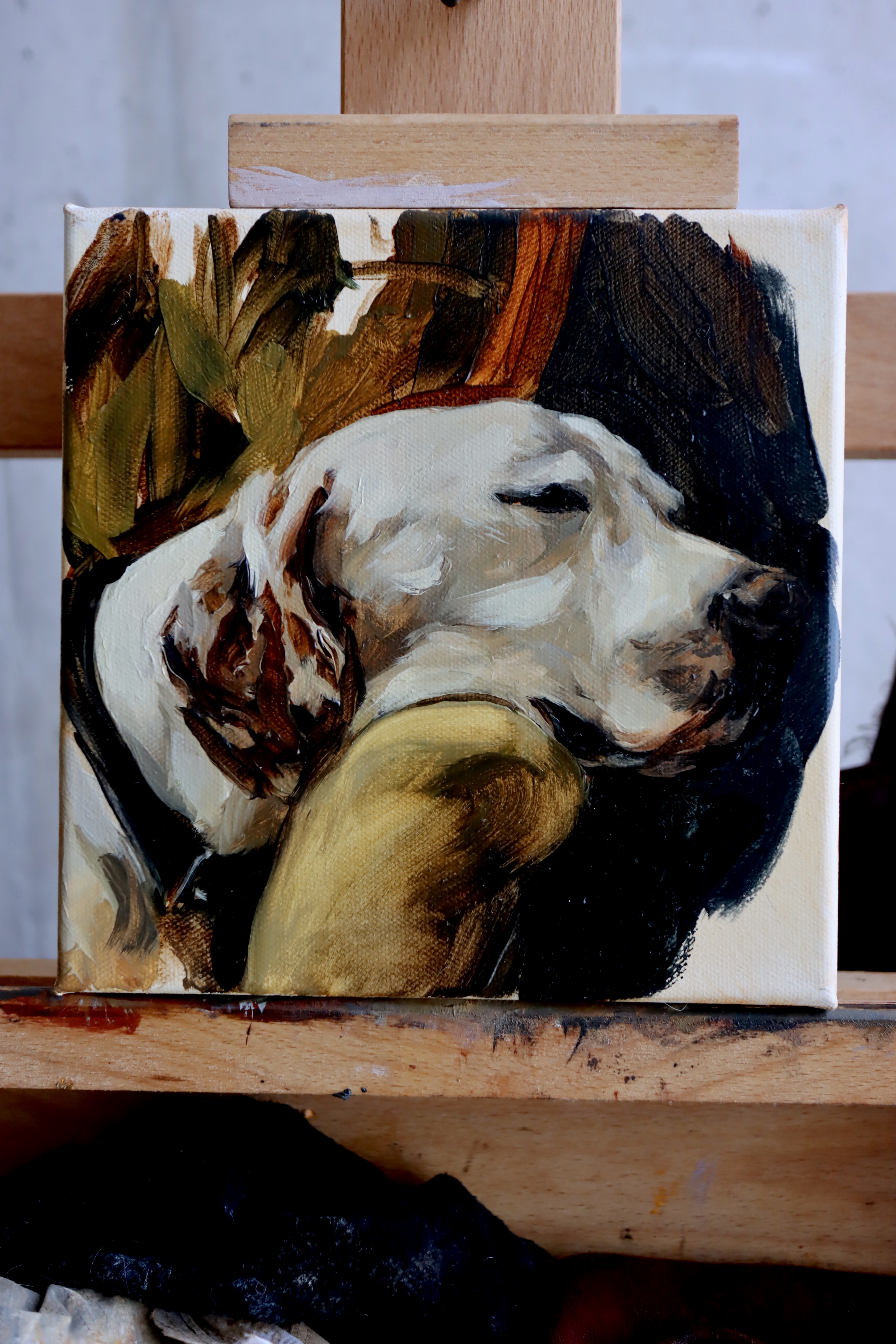 Estudio de perro dormido 2