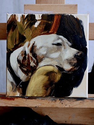 Estudio de perro dormido