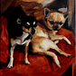 Dos perros sobre terciopelo - Miniatura 4