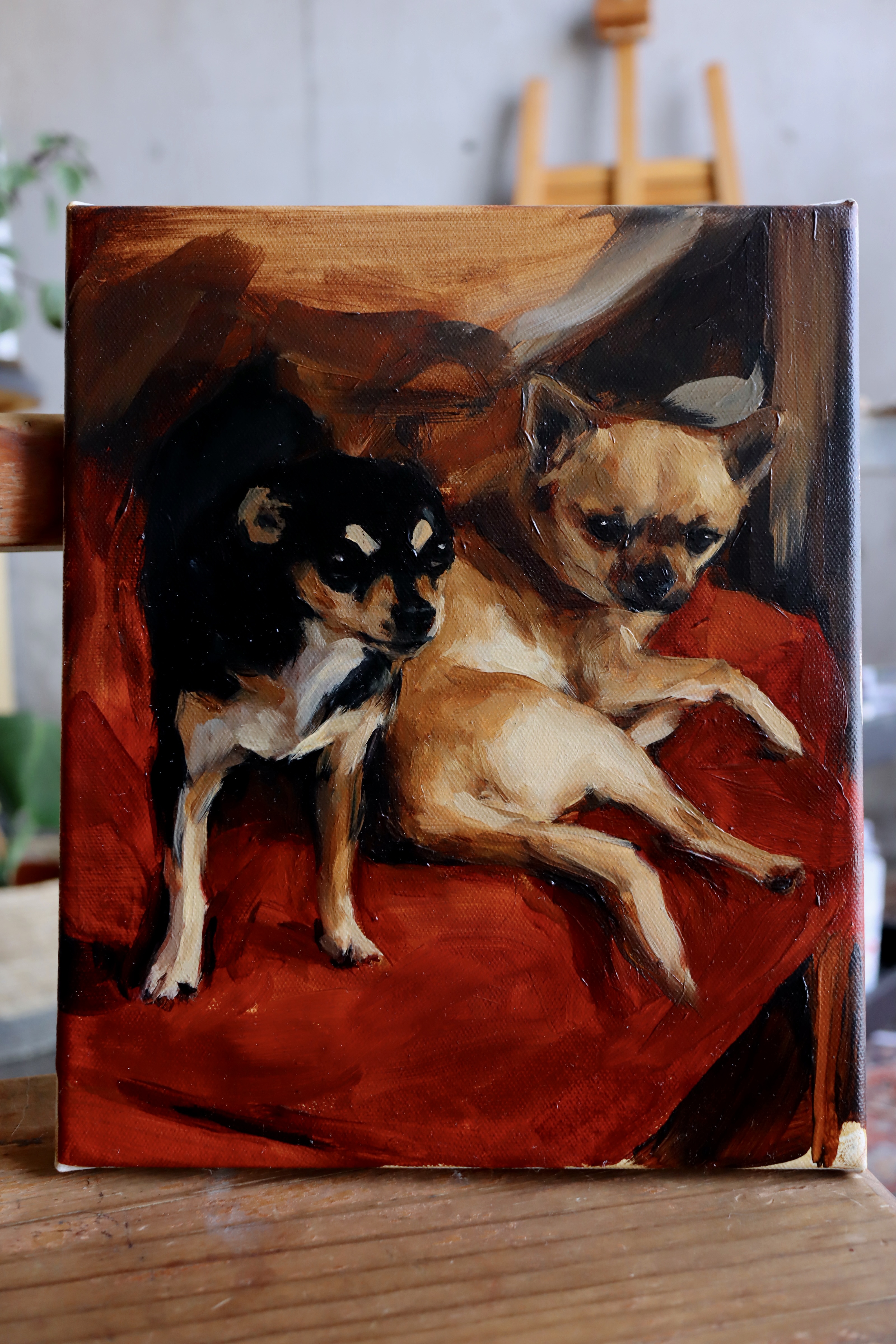 Dos perros sobre terciopelo 3