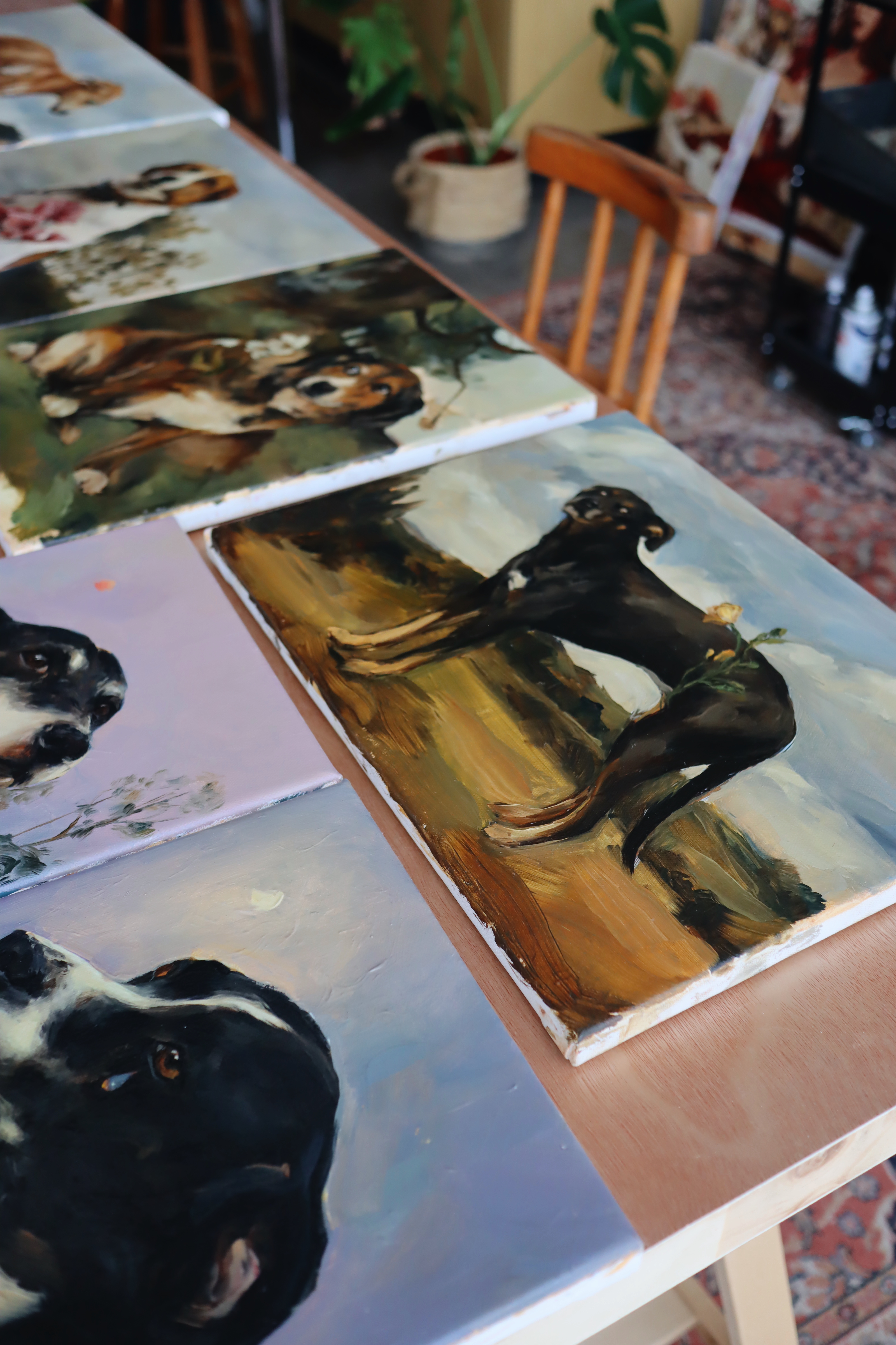 Quiltro germinando en el horizonte 2