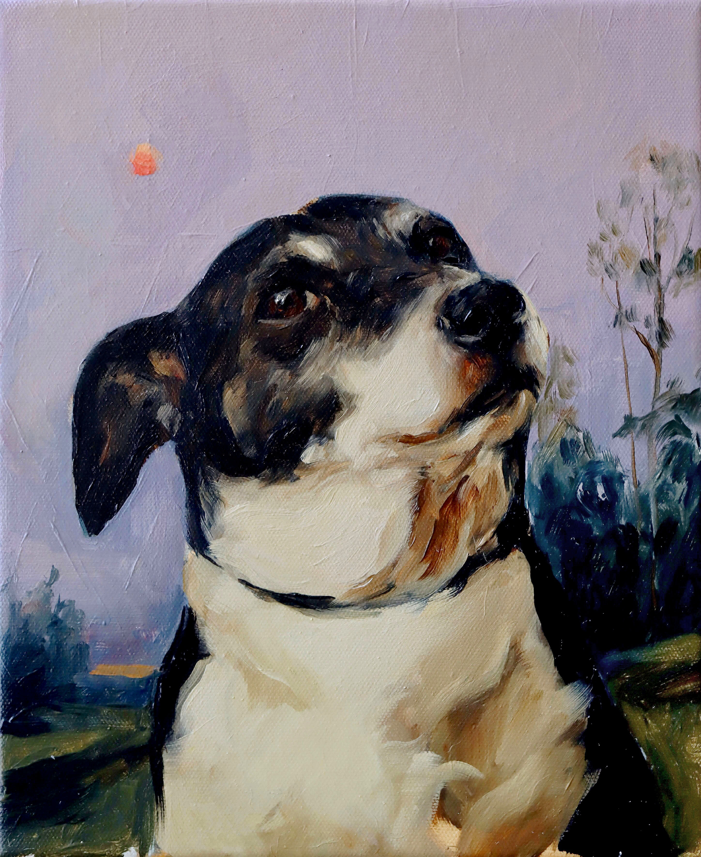 Presentimiento violeta 1