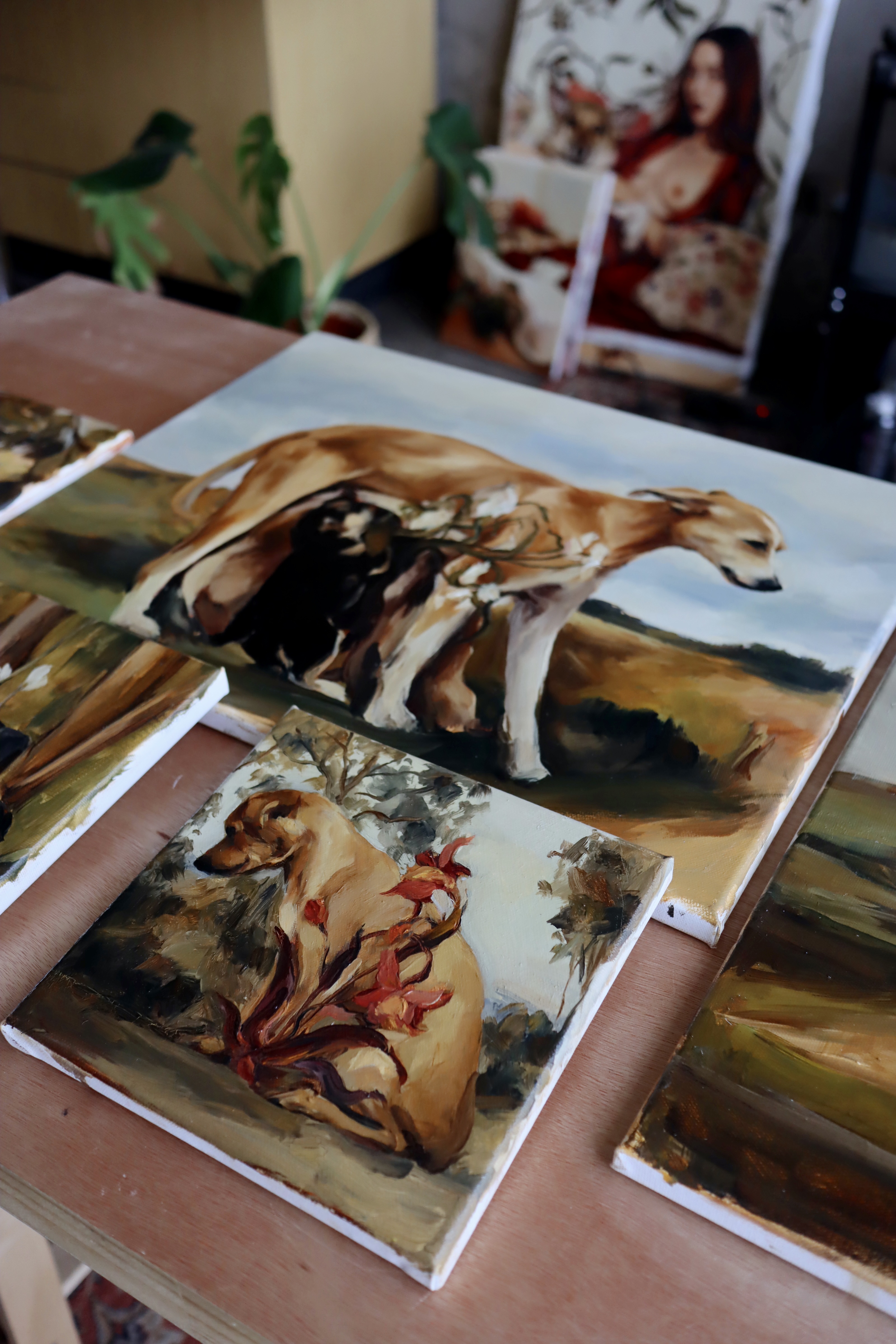 Floración de madre 3