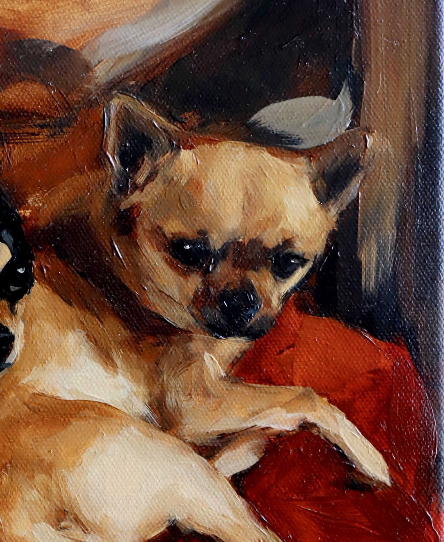 Dos perros sobre terciopelo 3