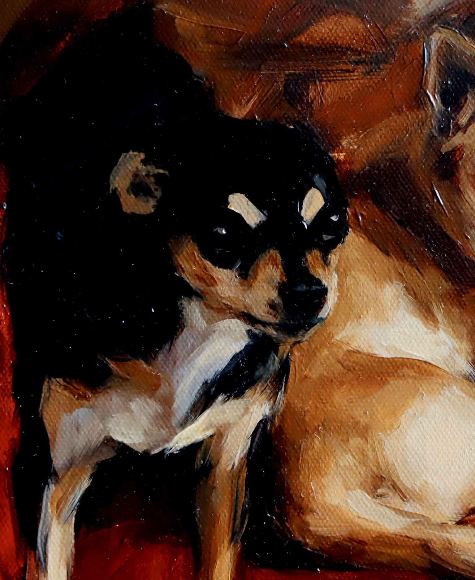 Dos perros sobre terciopelo 2