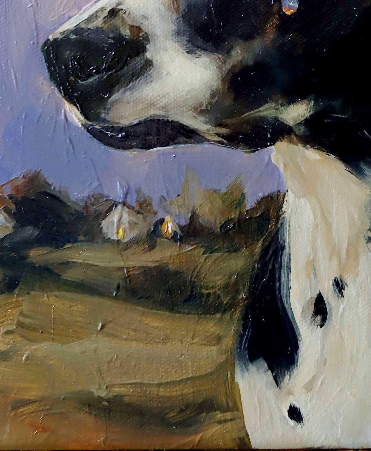 Nostalgia de hogar 3