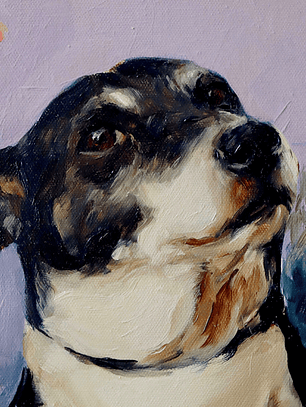 Presentimiento violeta