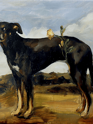 Quiltro germinando en el horizonte