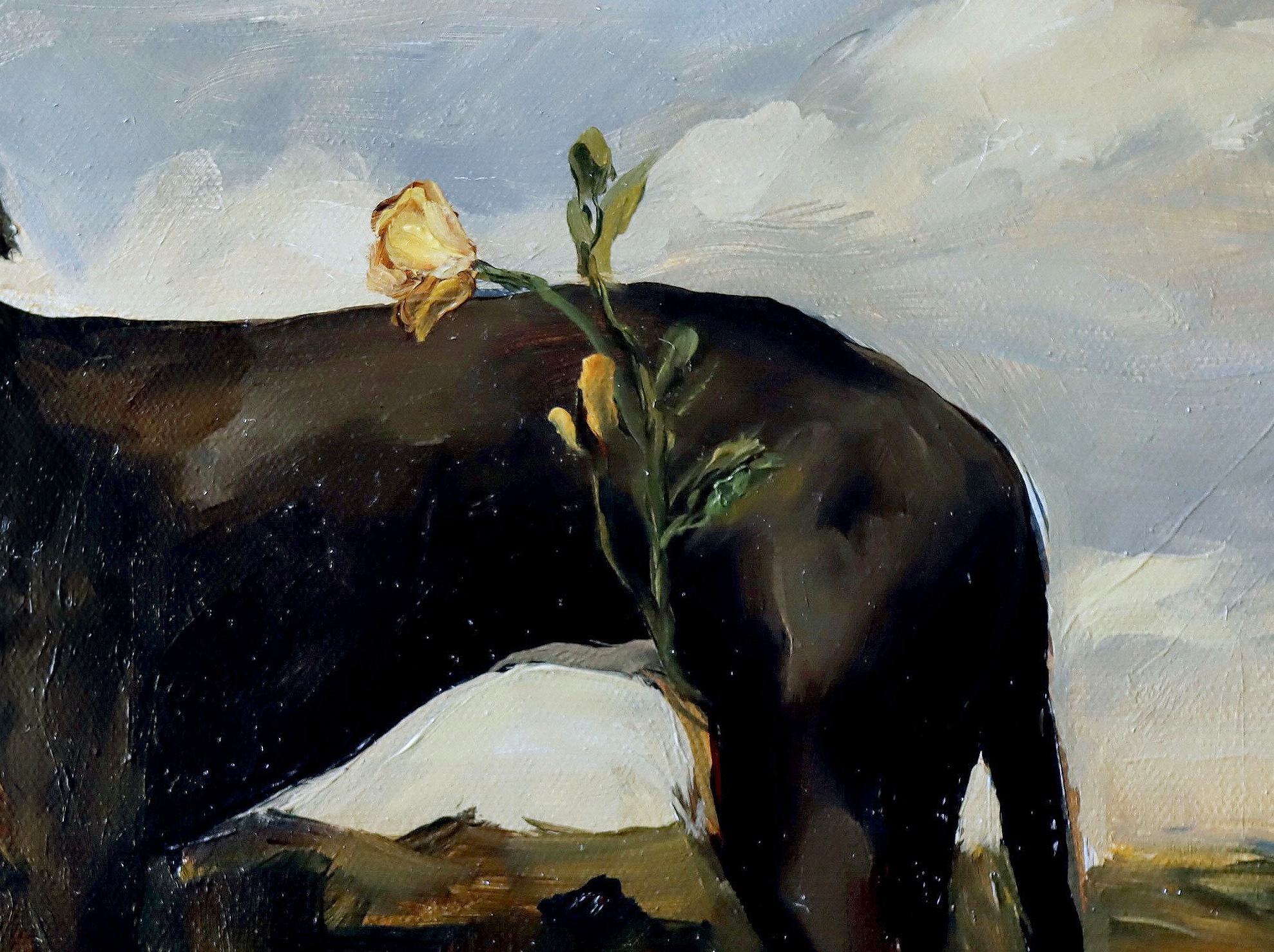 Quiltro germinando en el horizonte 3