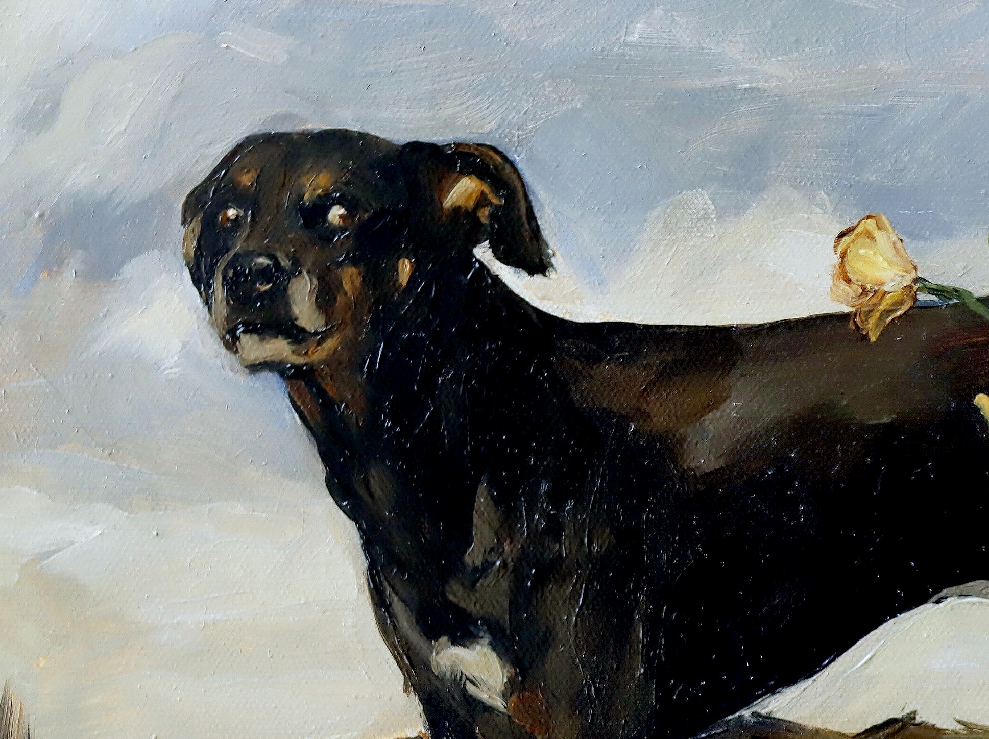 Quiltro germinando en el horizonte 4