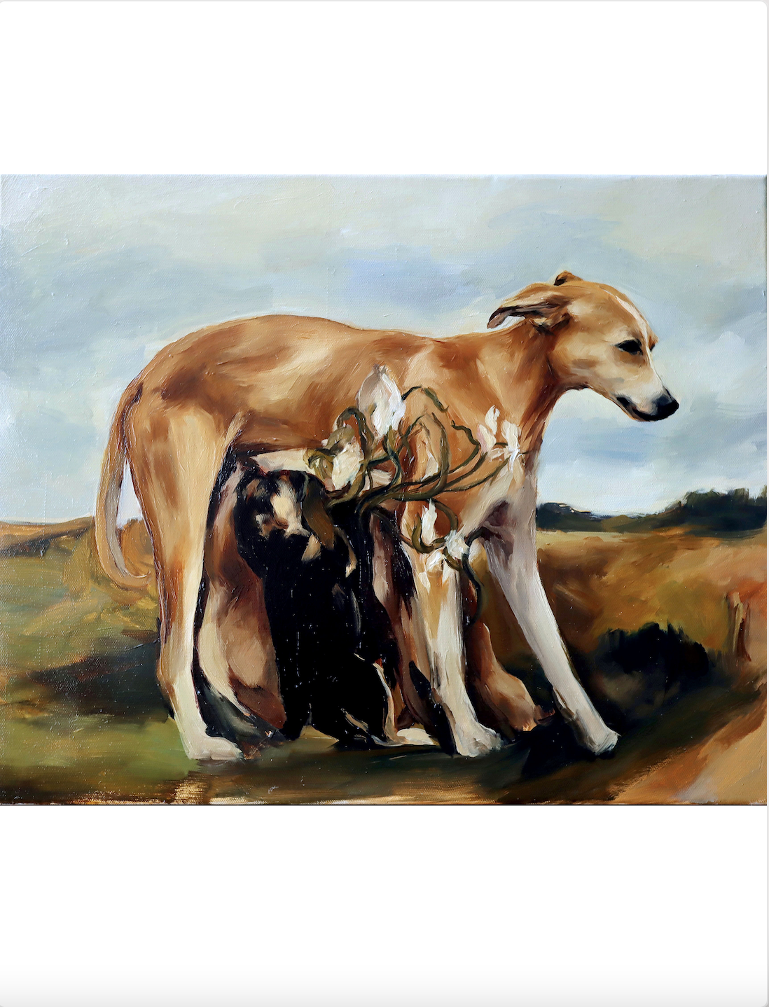 Floración de madre 1