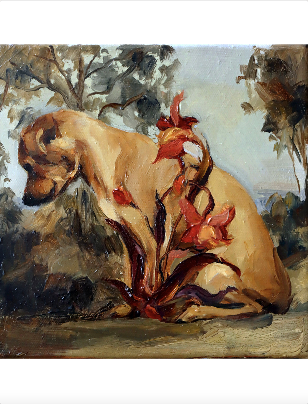 Flores para la tristeza 1