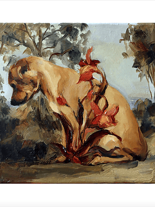 Flores para la tristeza