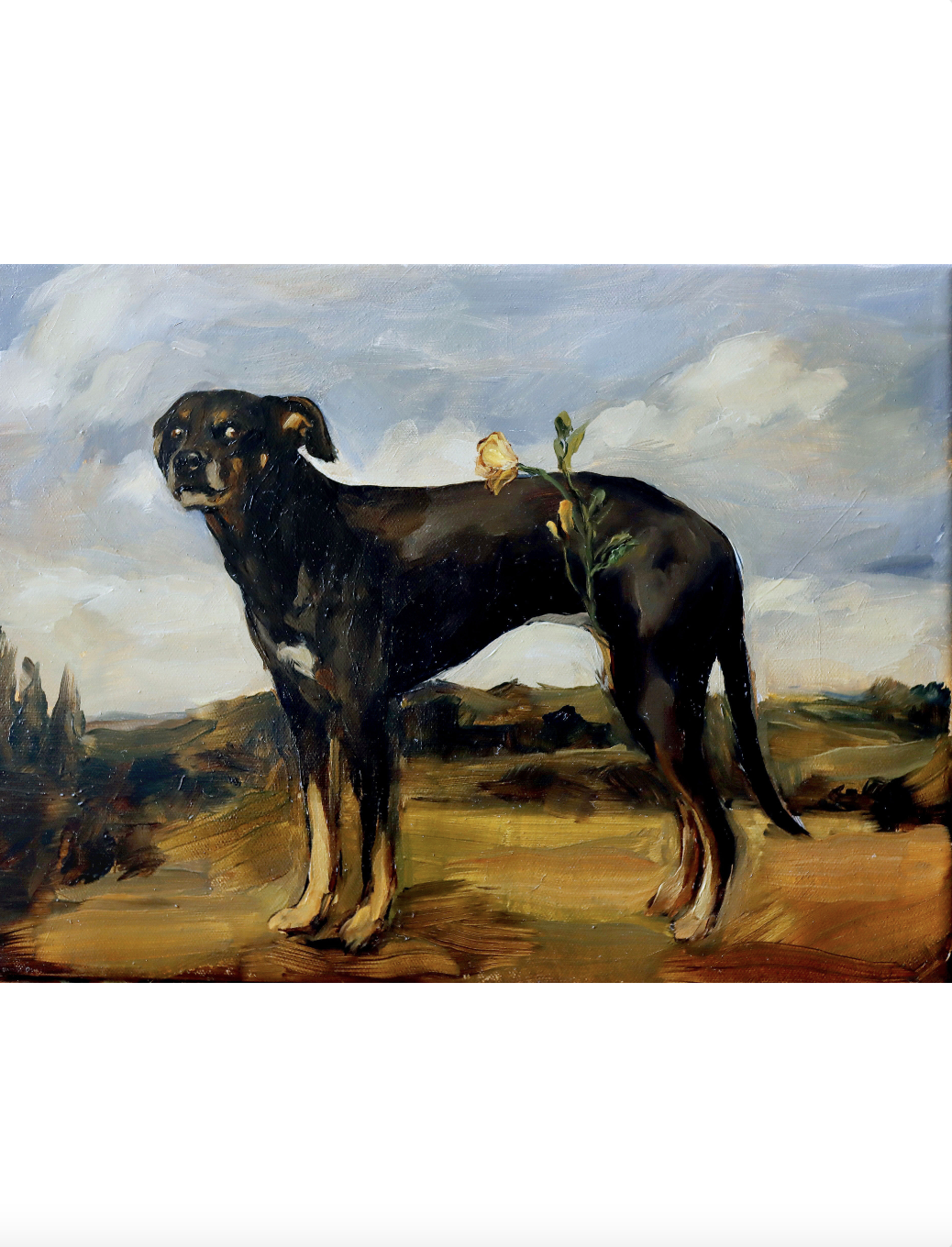 Quiltro germinando en el horizonte 1