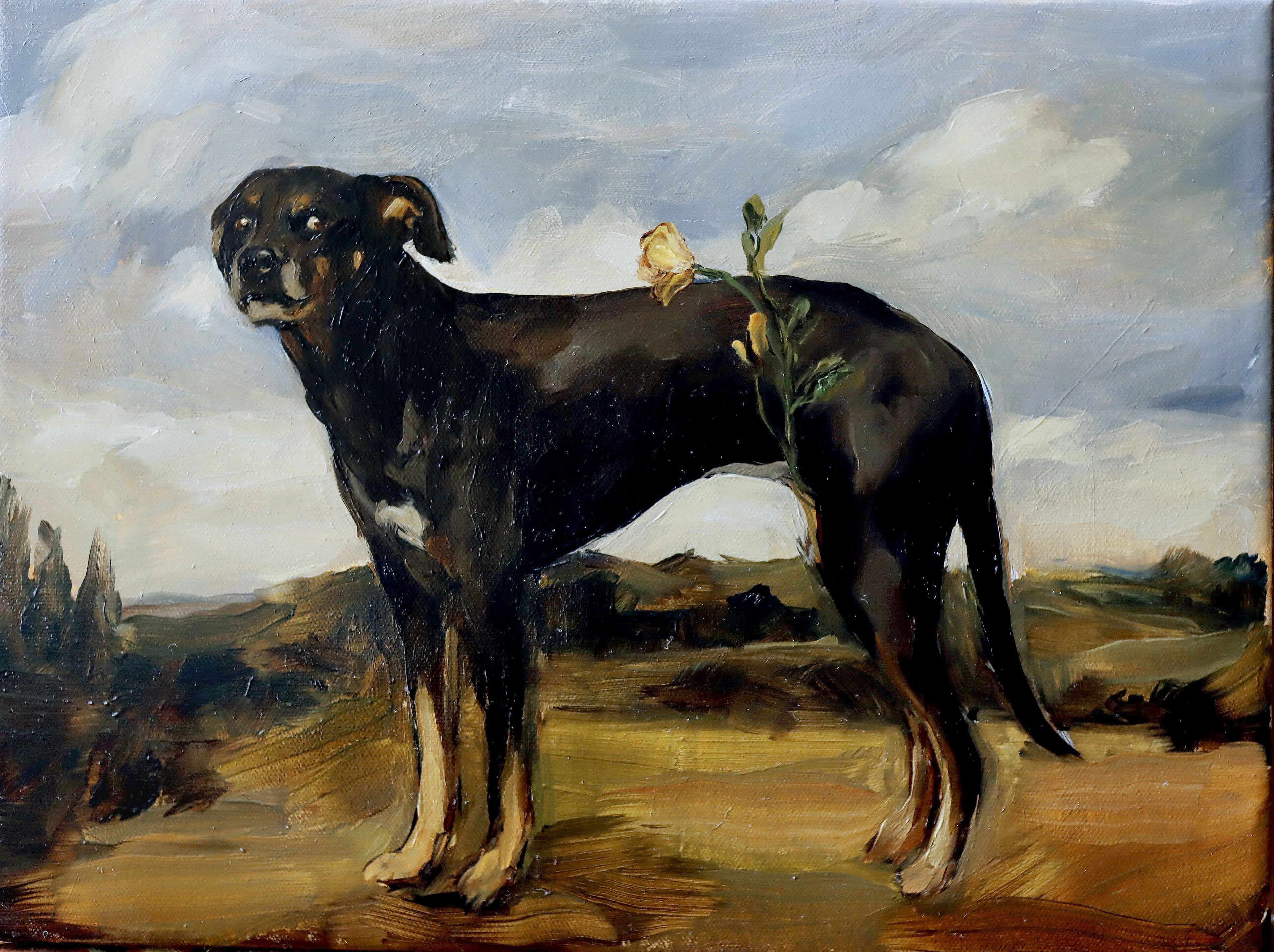 Quiltro germinando en el horizonte 3