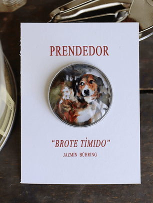 Prendedor 
