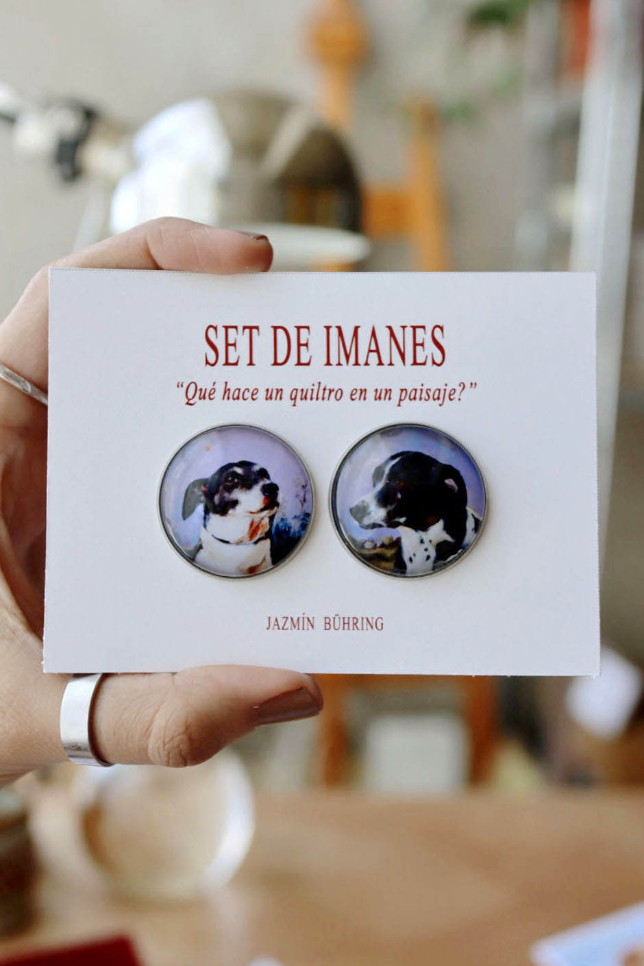 Set de imanes 
