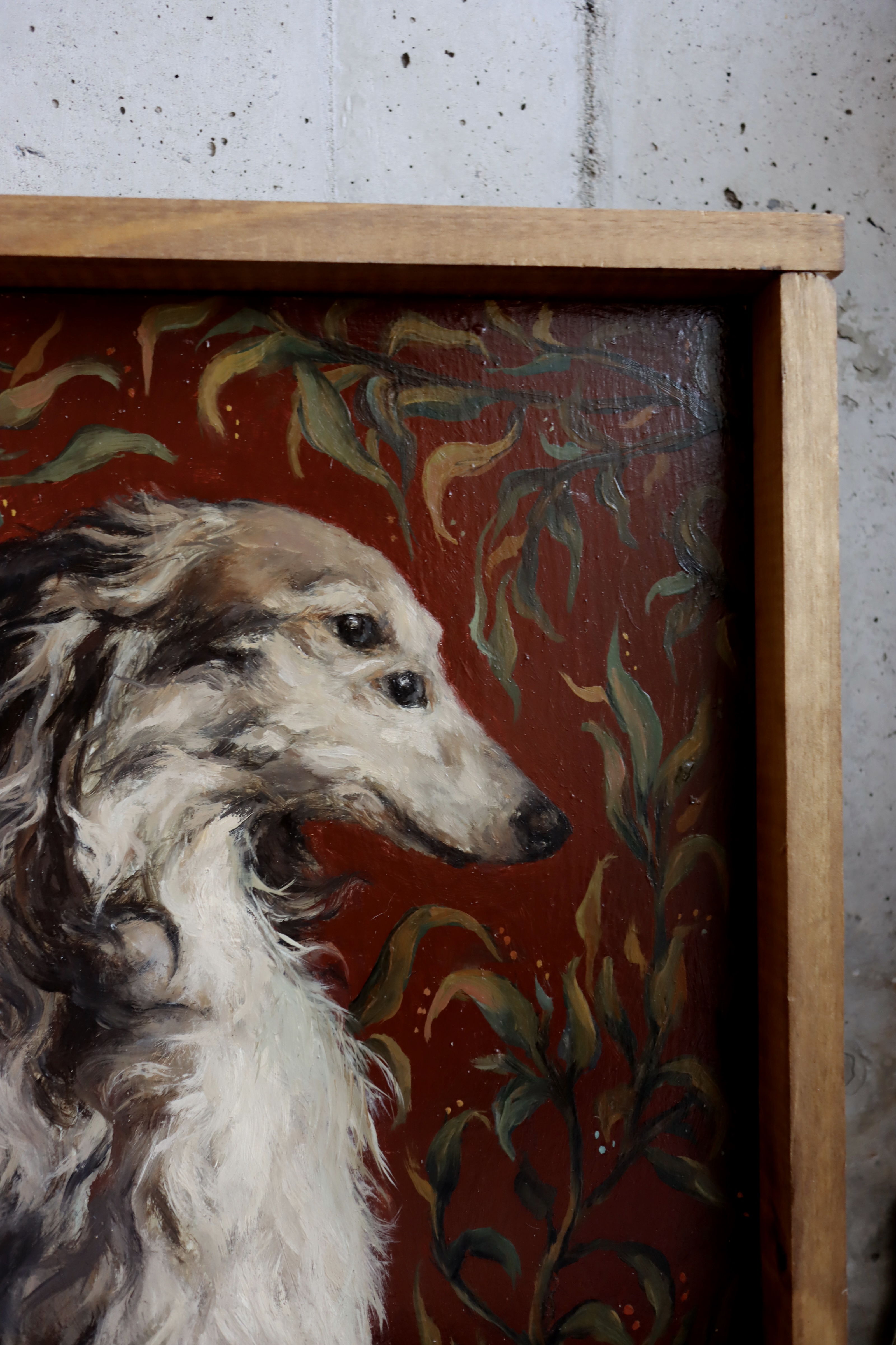 Botánica de los perros II 3