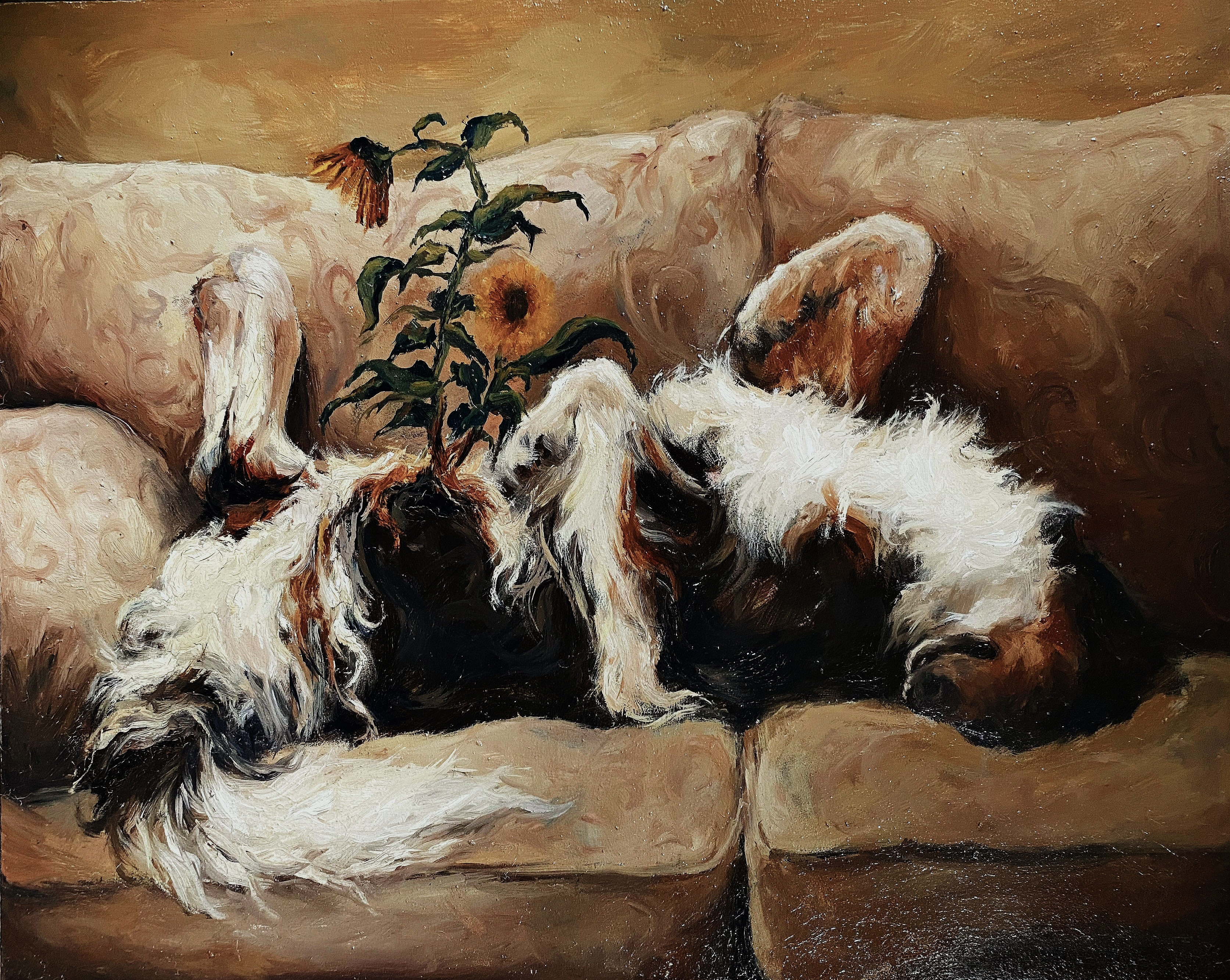 Girando hacia el sol 6