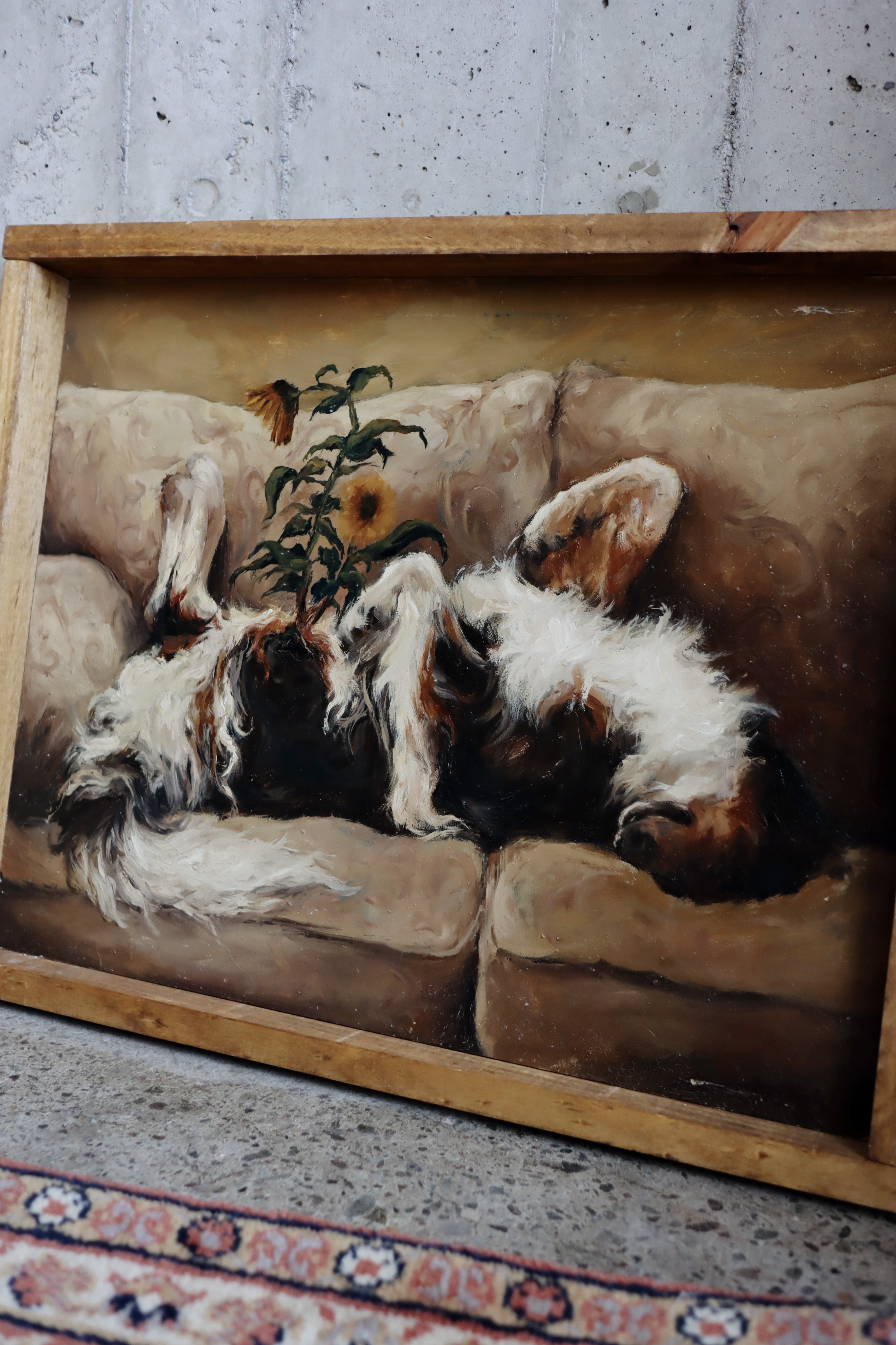 Girando hacia el sol 5