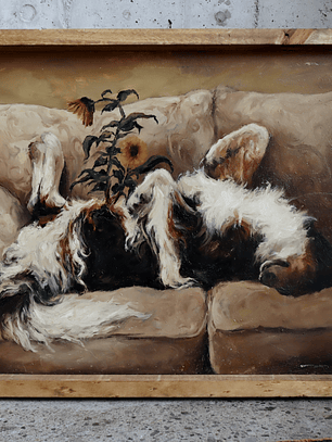 Girando hacia el sol