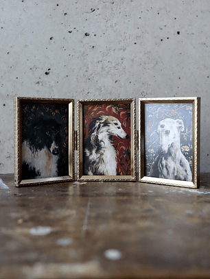 Prints enmarcados tríptico 