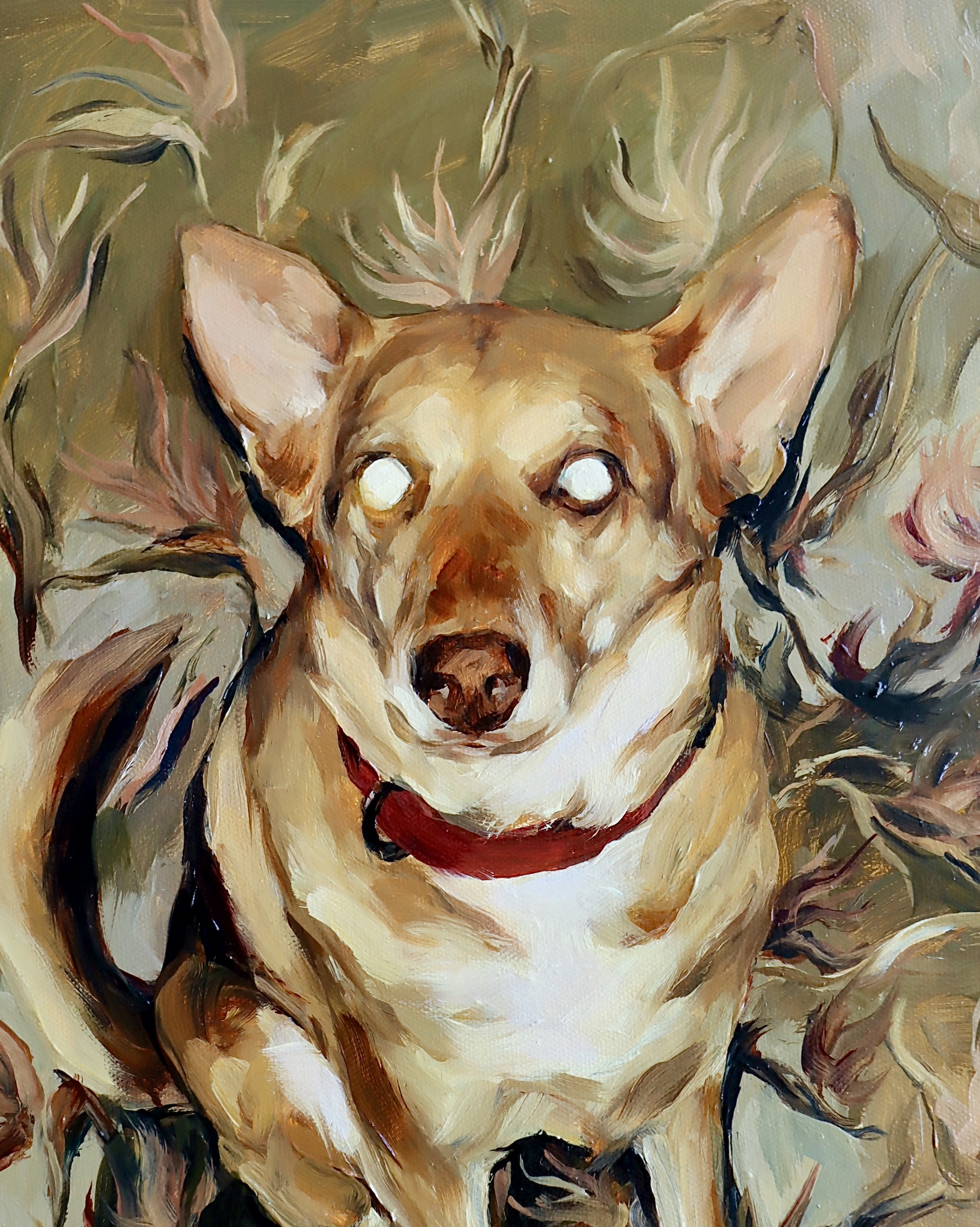 El perro ladra mucho 2