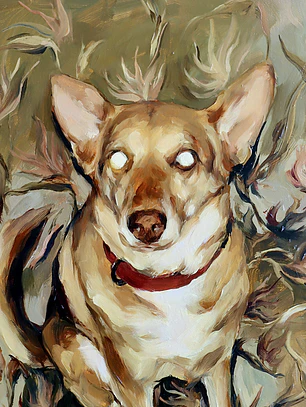 El perro ladra mucho