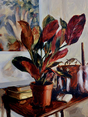 Nostalgia de Maranta 