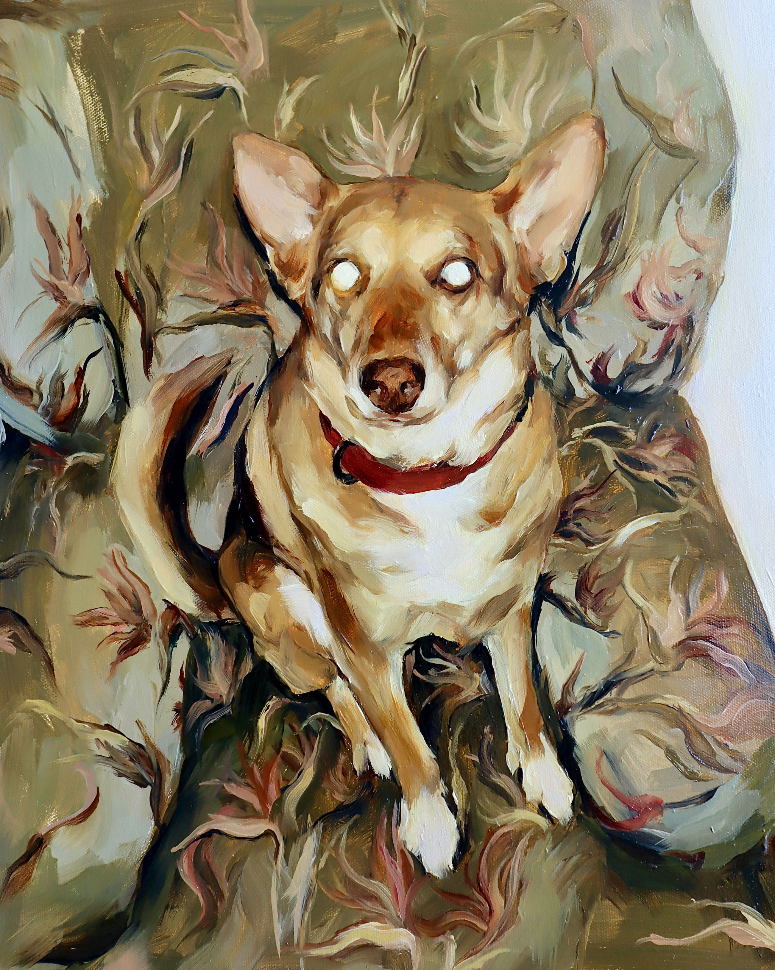 El perro ladra mucho 1