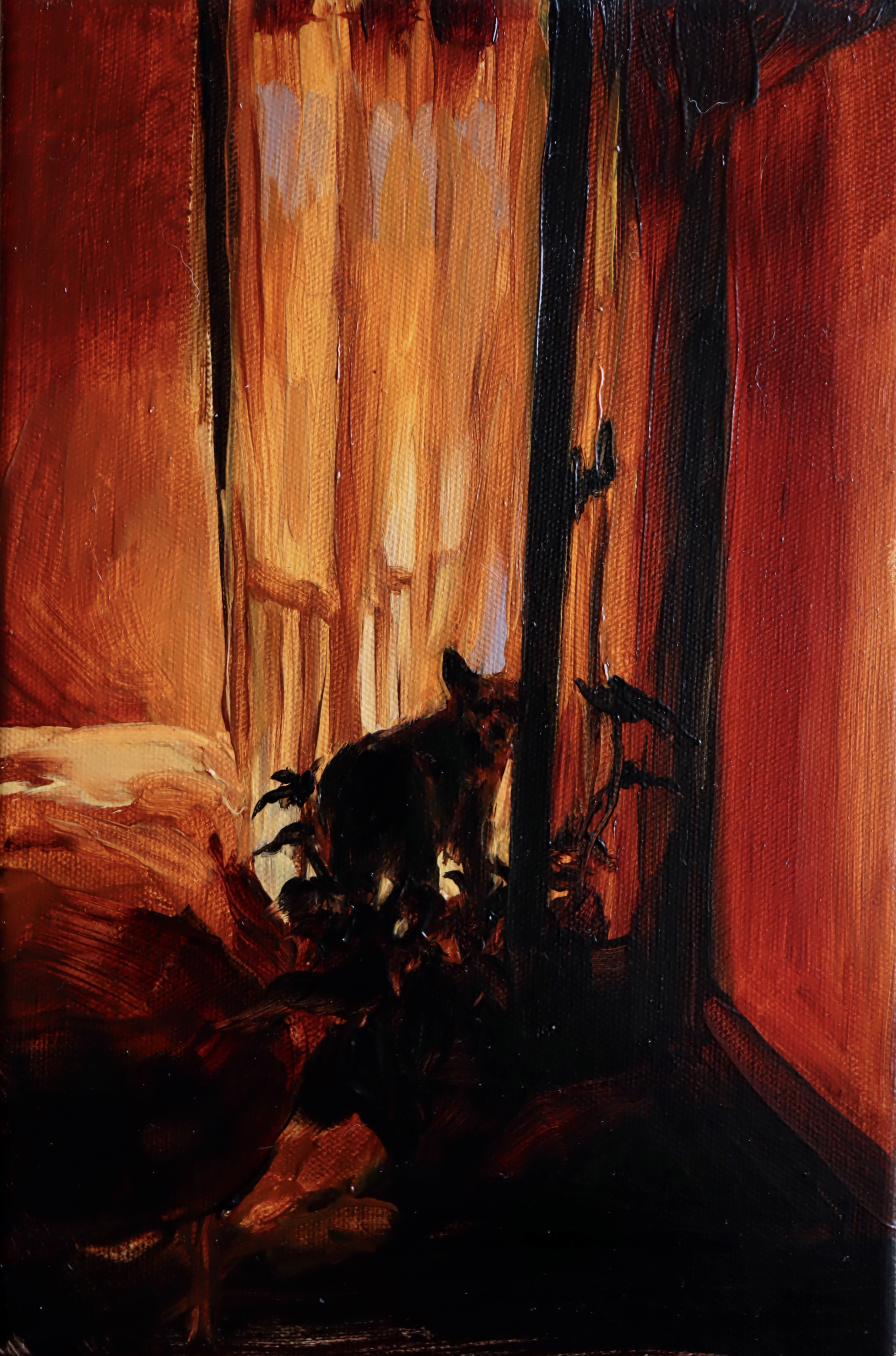 Esperándome en la madrugada 1