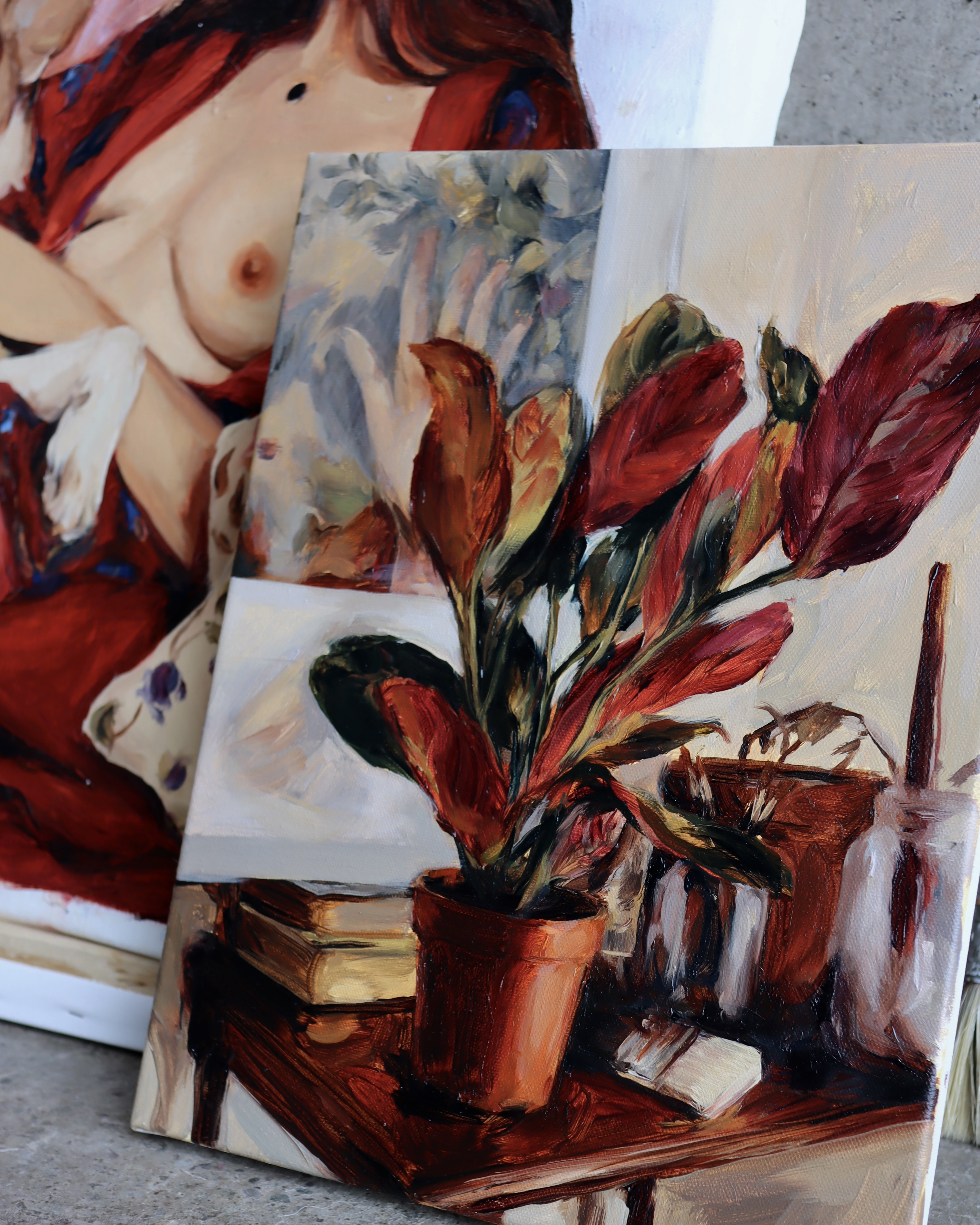 Nostalgia de Maranta  2