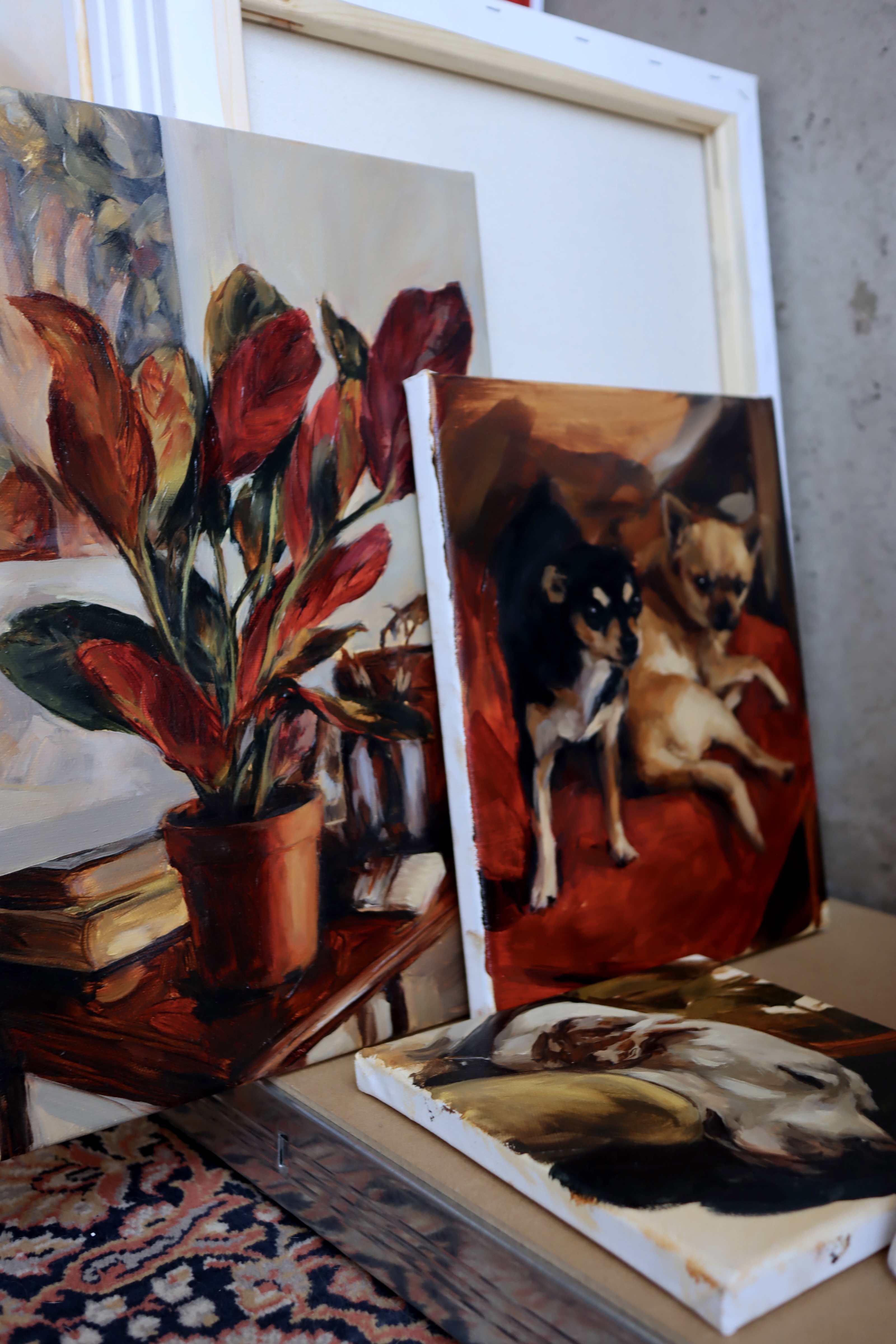 Nostalgia de Maranta  3