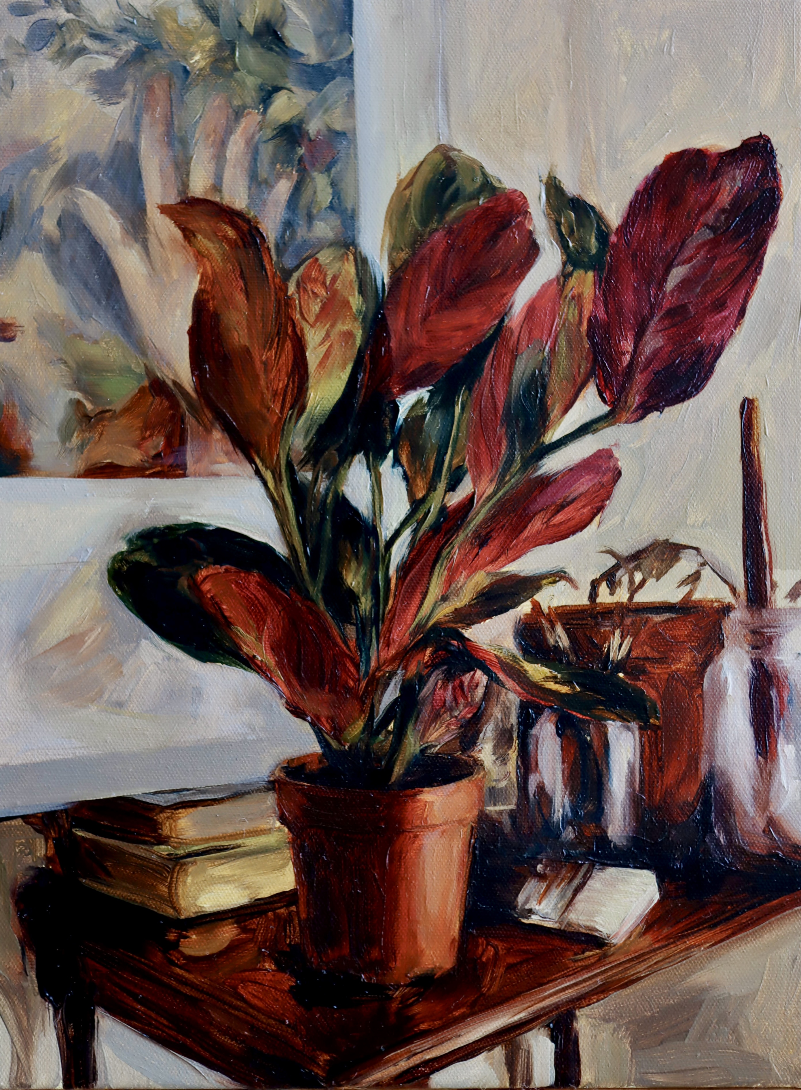 Nostalgia de Maranta  1