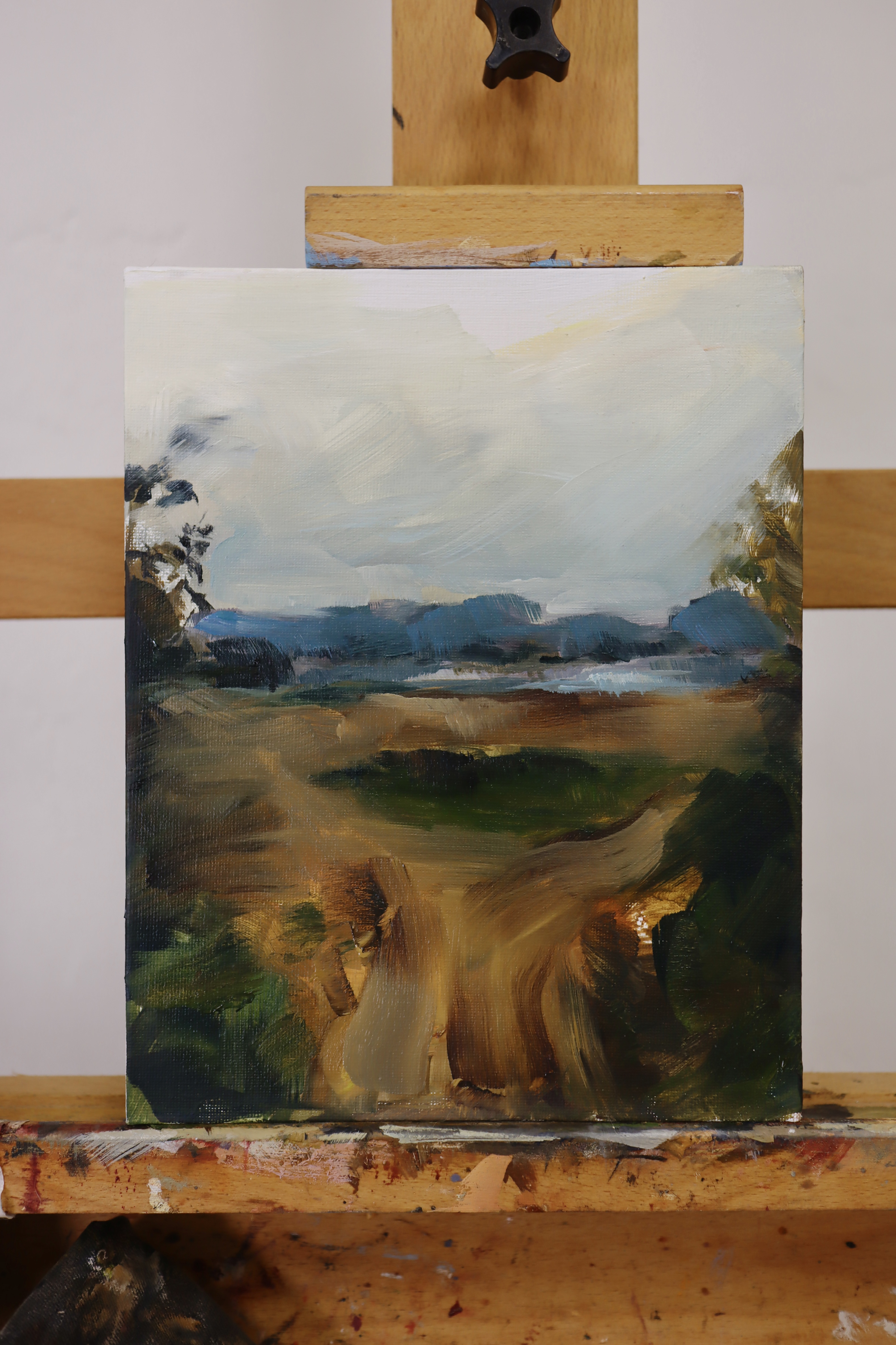 Entrada al río 3