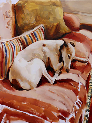 Como sueñan los galgos