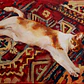 Alfombra persa - Miniatura 2