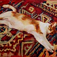 Alfombra persa - Miniatura 2