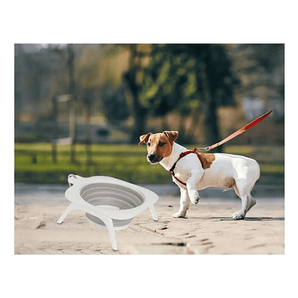 Plato Bowl Cuenco Portable Retráctil Perro Mascotas 9