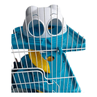 Jaula Para Hámster Tres Pisos Con Tobogán Casa Y Accesorios 4