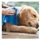 Toalla Mascotas Super Absorbente Secado Rápido Perro Gato 2