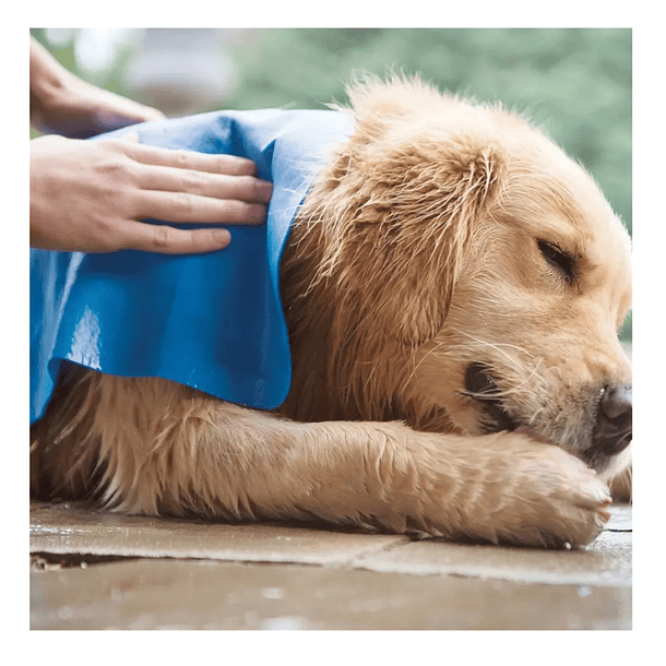 Toalla Mascotas Super Absorbente Secado Rápido Perro Gato 2